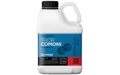 Thor Comoni