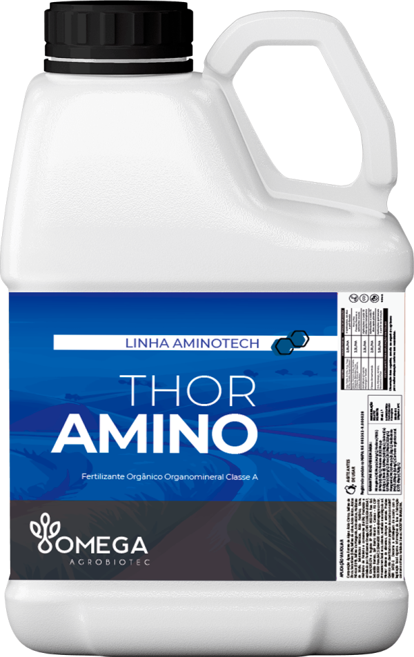 Thor Amino
