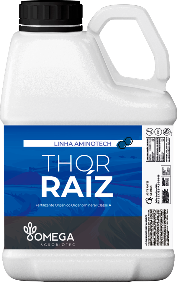 Thor Raiz