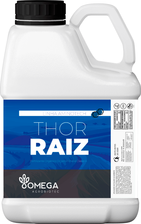 Thor Raiz